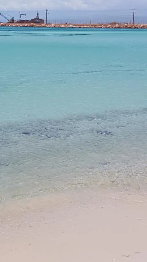 بدرنالس Hotel B&B Italia Caribe 0*,  جمهورية الدومينيكان