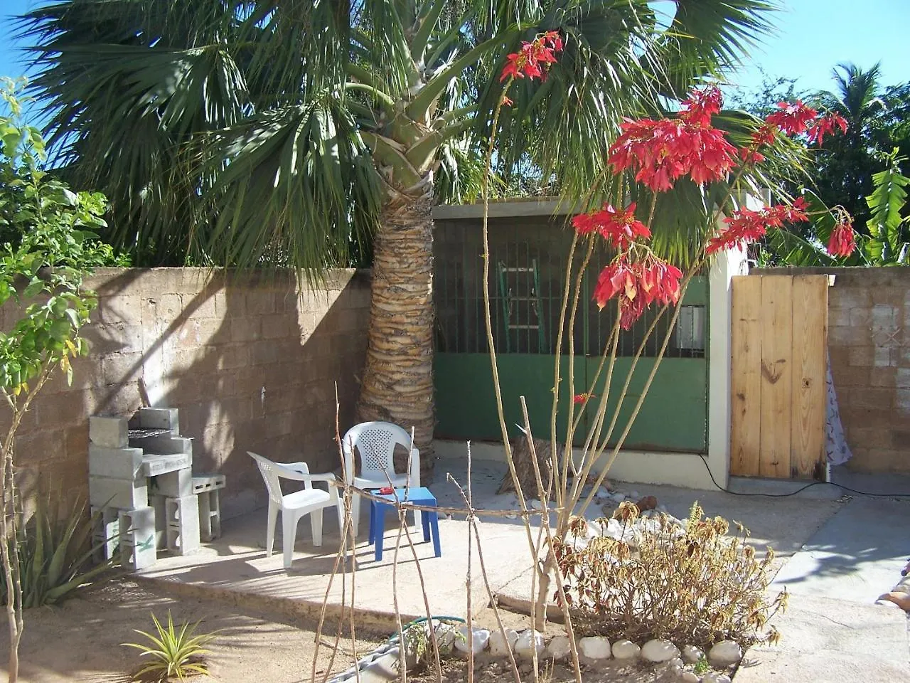 بيت ضيافة بدرنالس Hotel B&B Italia Caribe جمهورية الدومينيكان