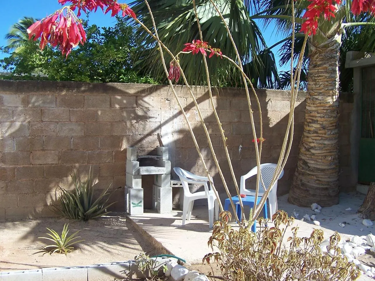 بدرنالس Hotel B&B Italia Caribe بيت ضيافة